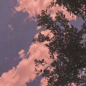 厨房脱岳裙子从后面挺进去
