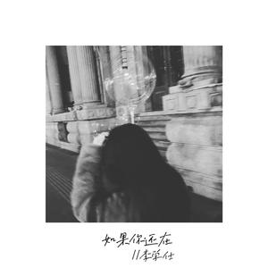 厨房脱岳裙子从后面挺进去
